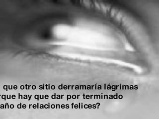 ¿En que otro sitio derramaría lágrimas porque hay que dar por terminado un año de relaciones felices?  