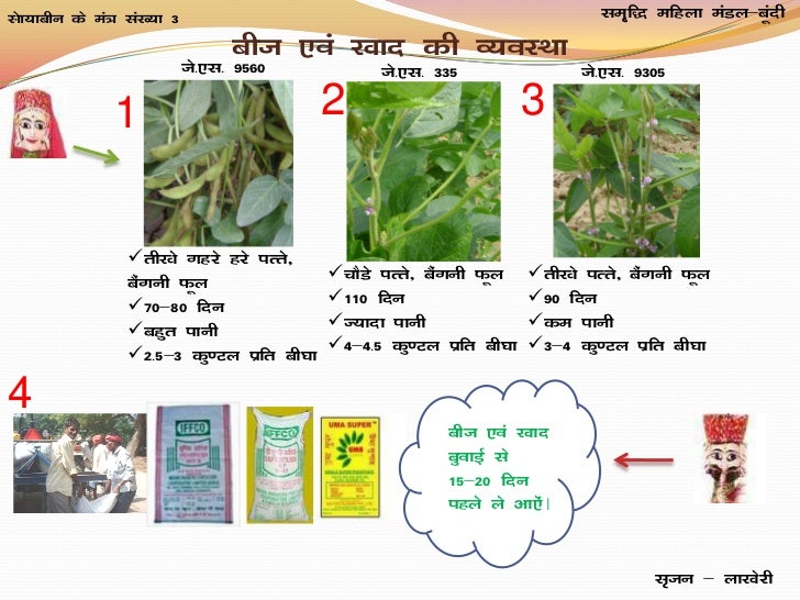 Manual for Soybean cultivation in Rajsthan
