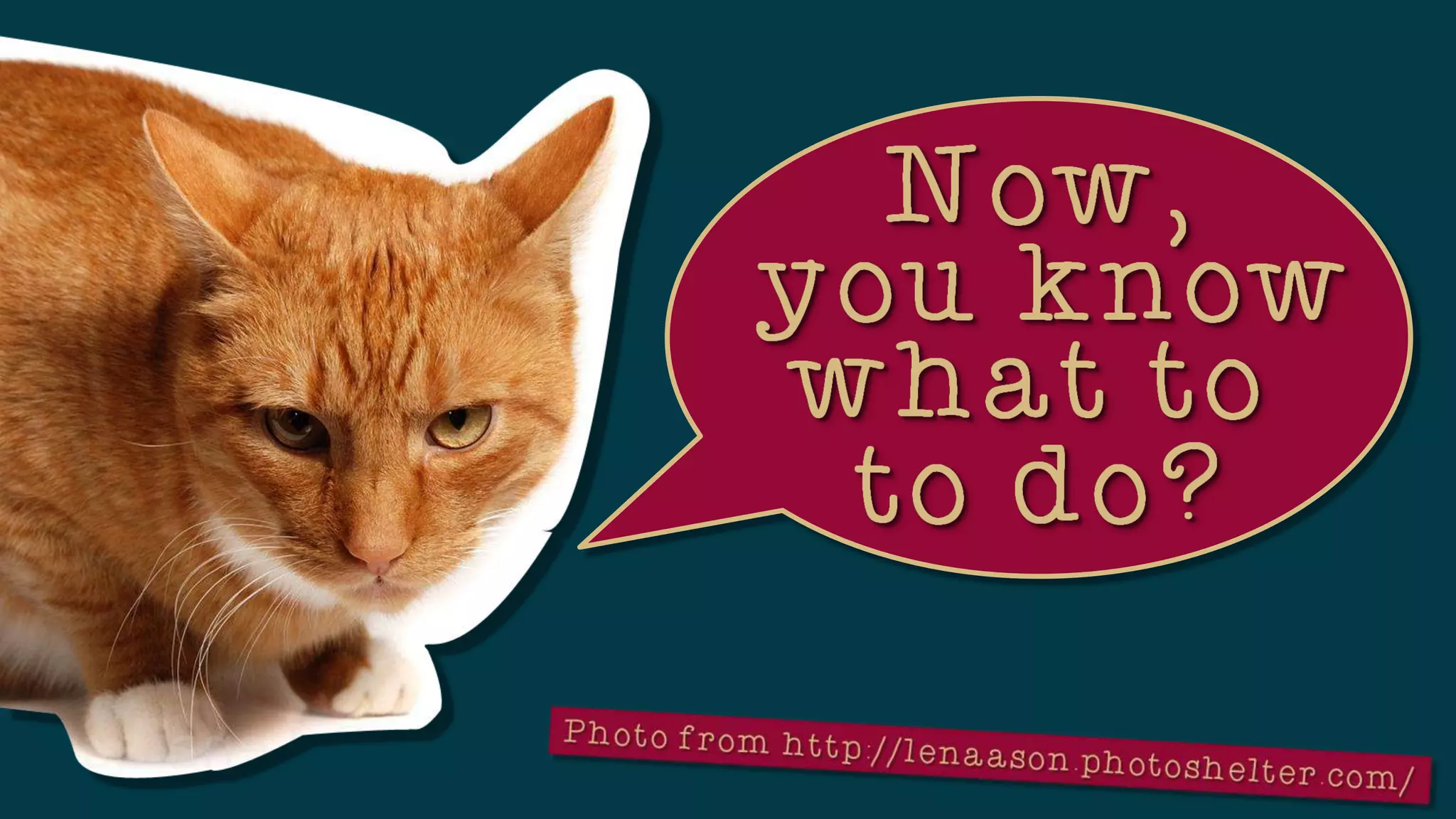 So You’re Finally a Virtual Assistant...Now, What?