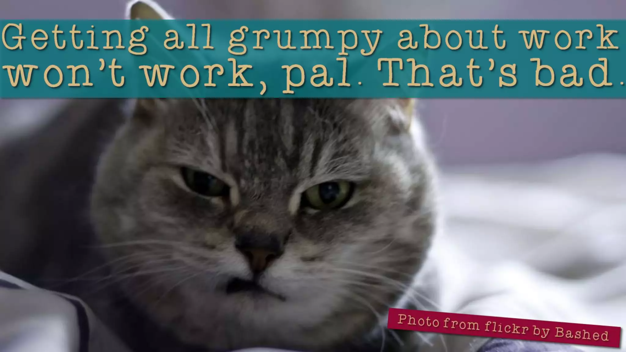 So You’re Finally a Virtual Assistant...Now, What?