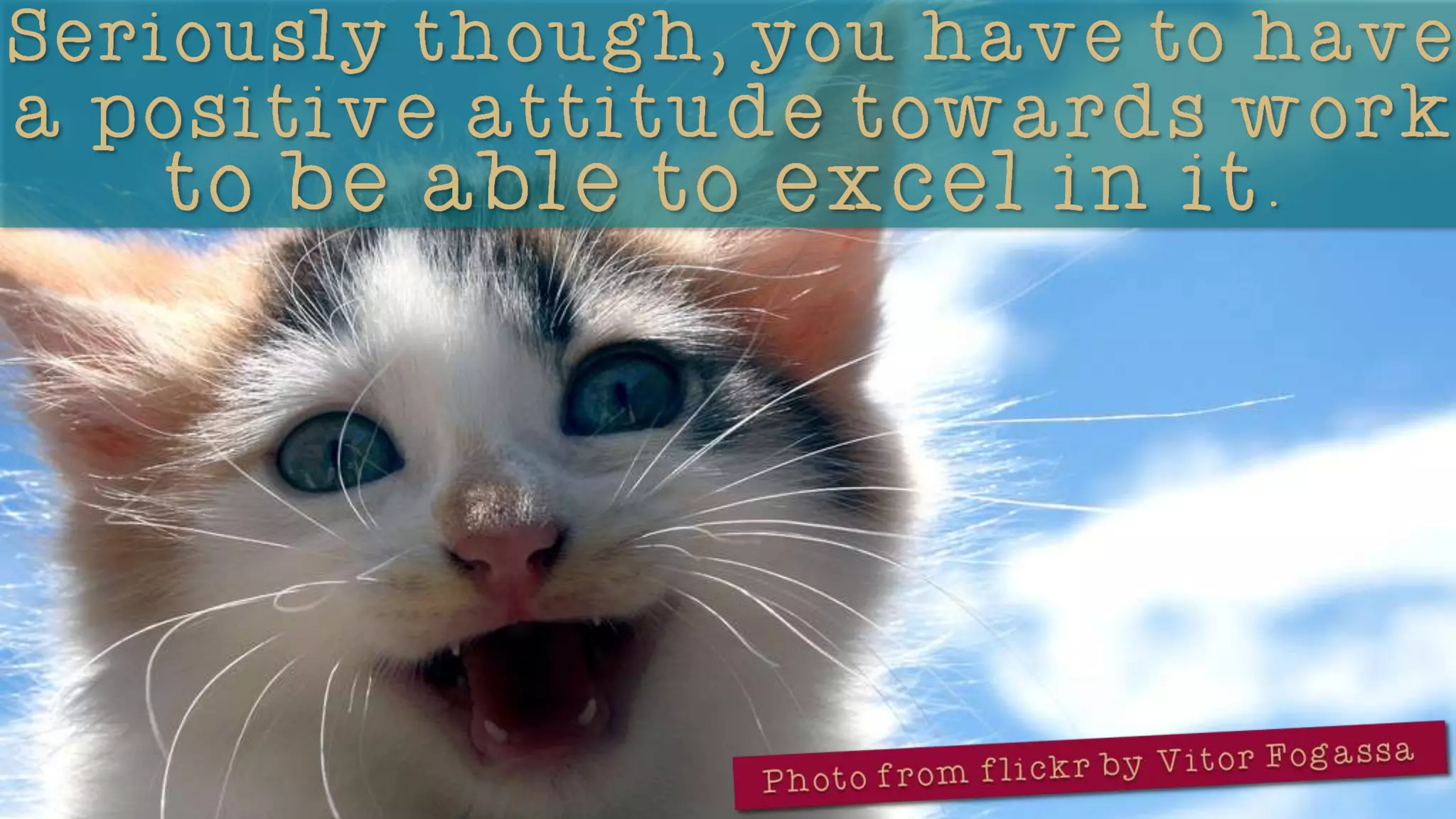 So You’re Finally a Virtual Assistant...Now, What?