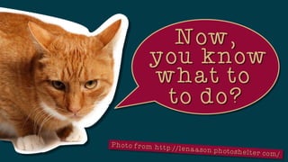 So Youre Finally a Virtual Assistant...Now, What?