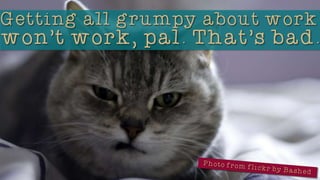 So Youre Finally a Virtual Assistant...Now, What?