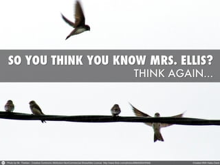 So you think you know mrs. ellis