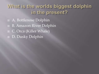  A. Bottlenose Dolphin
 B. Amazon River Dolphin
 C. Orca (Killer Whale)
 D. Dusky Dolphin
 