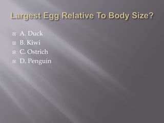  A. Duck
 B. Kiwi
 C. Ostrich
 D. Penguin
 