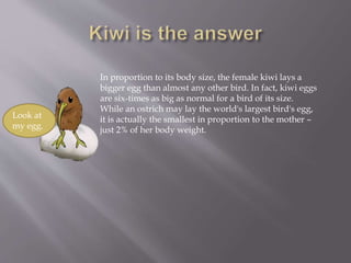 In proportion to its body size, the female kiwi lays a
bigger egg than almost any other bird. In fact, kiwi eggs
are six-times as big as normal for a bird of its size.
While an ostrich may lay the world's largest bird's egg,
it is actually the smallest in proportion to the mother –
just 2% of her body weight.
Look at
my egg.
 