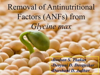 Removal of Antinutritional
Factors (ANFs) from
Glycine max
-Roshan S. Thakur
-Deoyani D. Deogirikar
-Darshani D. Jadhav
 