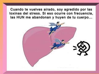 Cuando te vuelves airado, soy agredido por las toxinas del stress. Si eso ocurre con frecuencia, las HUN me abandonan y huyen de tu cuerpo... 