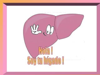 Hola ! Soy tu hígado ! 