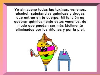 Yo almaceno todas las toxinas, venenos, alcohol, substancias químicas y drogas que entran en tu cuerpo. Mi función es quebrar químicamente estos venenos, de modo que puedan ser más fácilmente eliminados por los riñones y por la piel. 