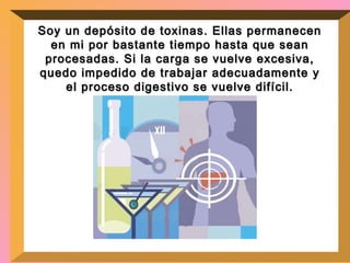 Soy un depósito de toxinas. Ellas permanecen en mi por bastante tiempo hasta que sean procesadas. Si la carga se vuelve excesiva, quedo impedido de trabajar adecuadamente y el proceso digestivo se vuelve difícil. 
