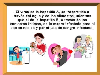 El vírus de la hepatitis A, es transmitido a través del agua y de los alimentos, mientras que el de la hepatitis B, a través de los contactos íntimos, de la madre infectada para el recién nacido y por el uso de sangre infectada. 