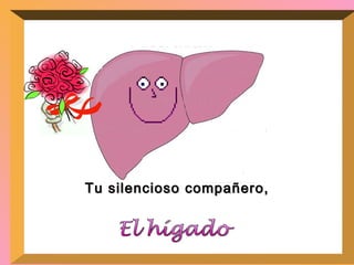 Tu silencioso compañero, El hígado 