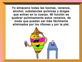 Yo almaceno todas las toxinas, venenos, alcohol, substancias químicas y drogas que entran en tu cuerpo. Mi función es quebrar químicamente estos venenos, de modo que puedan ser más fácilmente eliminados por los riñones y por la piel. 