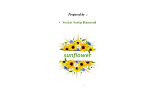 .
Prepared by :
• Sozdar Sartip Hammed
sunflower
.
 