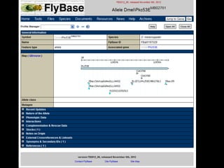 Open Science: Flickschusterei in der digitalen Steinzeit
