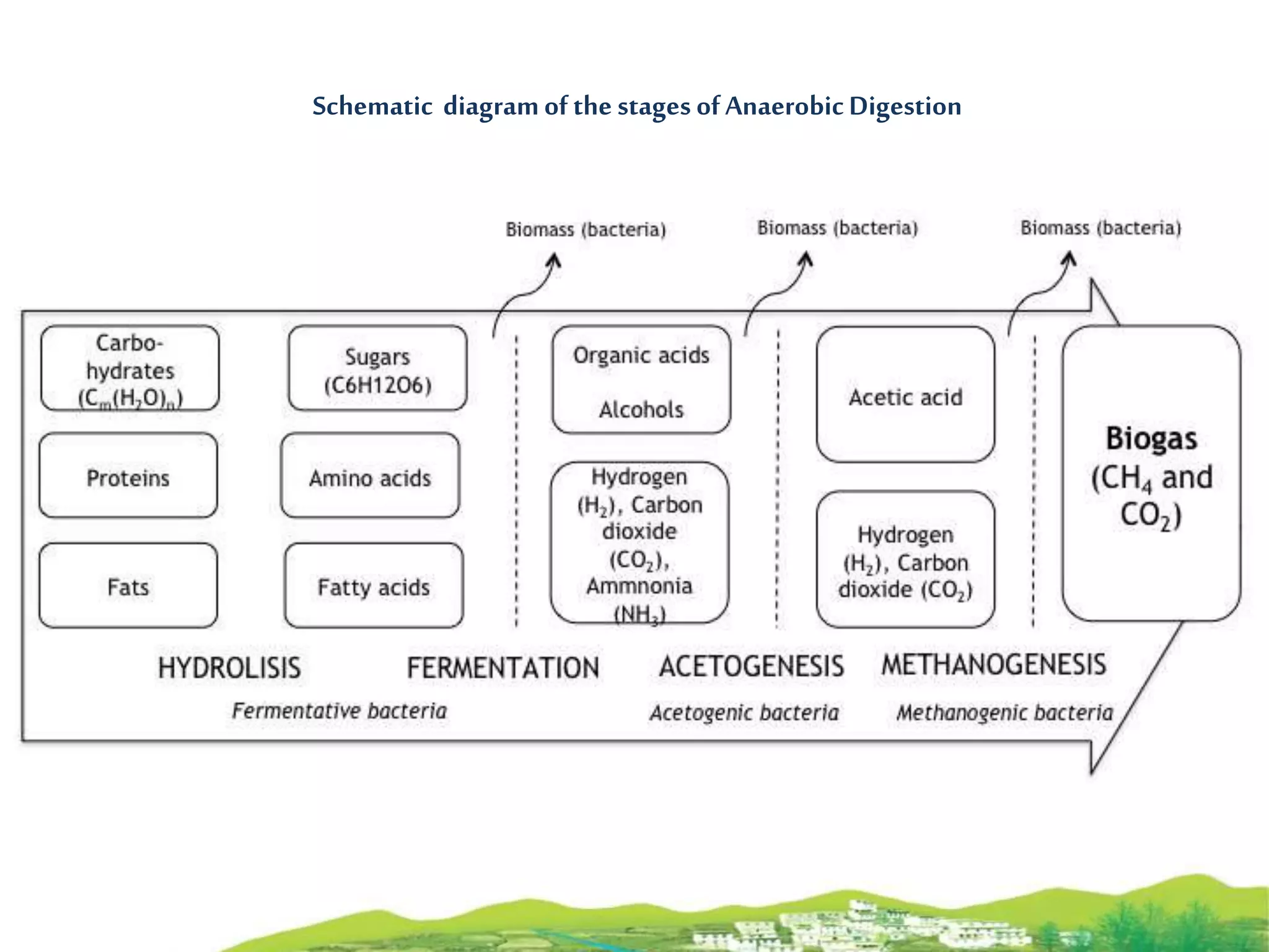 BIOMETHANE PRODUCTION USING ANAEROBIC DIGESTION OF FOOD WASTE BY IGBUDU ...