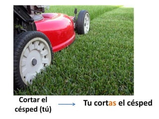 Cortar el césped (tú)Tucortasel césped