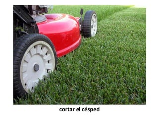 cortar el césped