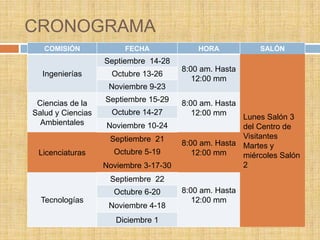 ACTIVIDADES VINCULADAS A  LA COMISION  DE  EXPERTOS
