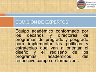 CONFORMACIÓN COMISIONES DE EXPERTOSCAMPOS DE FORMACIÓN EN PREGRADO Y POSGRADO:INGENIERÍAS