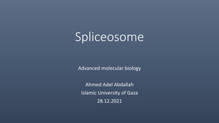 Spliceosome
Advanced molecular biology
Ahmed Adel Abdallah
Islamic University of Gaza
28.12.2021
 