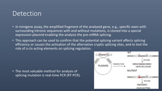 Detection
• In minigene assay, the amplified fragment of the analyzed gene, e.g., specific exon with
surrounding intronic sequences with and without mutations, is cloned into a special
expression plasmid enabling the analysis the pre-mRNA splicing.
• This approach can be used to confirm that the potential splicing variant affects splicing
efficiency or causes the activation of the alternative cryptic splicing sites, and to test the
role of a cis-acting elements on splicing regulation.
• The most valuable method for analysis of
splicing mutation is real-time PCR (RT-PCR).
 