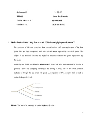 1
Assignment-4 14 -06-15
BTY-05 Intro. To Genomics
Zohaib HUSSAIN sp13-bty-001
Submitted To DR Ismat Nawaz
1. Write in detail the “Key features of DNA-based phylogenetic trees”?
The topology of this tree comprises four external nodes, each representing one of the four
genes that we have compared, and two internal nodes representing ancestral genes. The
lengths of the branches indicate the degree of difference between the genes represented by
the nodes.
Trees may be rooted or unrooted. Rooted trees reflect the most basal ancestor of the tree in
question. There are competing techniques for rooting a tree; one of the most common
methods is through the use of an out group (An organism or DNA sequence that is used to
root a phylogenetic tree)
Figure: The use of an outgroup to root a phylogenetic tree
 