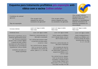 Esquema para tratamento profilático pós-exposição anti-
         rábico com a vacina Cultivo celular




                                                          30
 