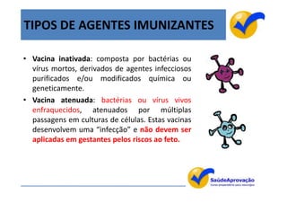 TIPOS DE AGENTES IMUNIZANTES

• Vacina inativada: composta por bactérias ou
  vírus mortos, derivados de agentes infecciosos
  purificados e/ou modificados química ou
  geneticamente.
• Vacina atenuada: bactérias ou vírus vivos
  enfraquecidos, atenuados por múltiplas
  passagens em culturas de células. Estas vacinas
  desenvolvem uma “infecção” e não devem ser
  aplicadas em gestantes pelos riscos ao feto.




                                                    6
 