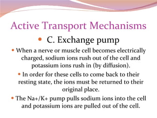 Active Transport Mechanisms C. Exchange pump When a nerve or muscle cell becomes electrically charged, sodium ions rush out of the cell and potassium ions rush in (by diffusion). In order for these cells to come back to their resting state, the ions must be returned to their original place. The Na+/K+ pump pulls sodium ions into the cell and potassium ions are pulled out of the cell. 