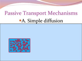 Passive Transport Mechanisms A. Simple diffusion 
