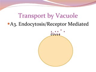 Transport by Vacuole A3. Endocytosis/Receptor Mediated Y Y Y Y Y 