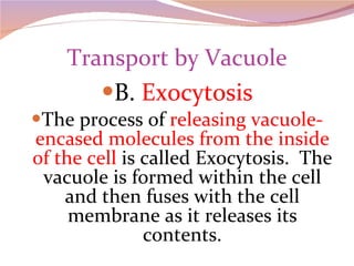 Transport by Vacuole B.  Exocytosis The process of  releasing vacuole-encased molecules from the inside of the cell  is called Exocytosis.  The vacuole is formed within the cell and then fuses with the cell membrane as it releases its contents. 