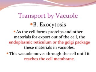 Transport by Vacuole B. Exocytosis As the cell forms proteins and other materials for export out of the cell, the  endoplasmic reticulum or the golgi package  these materials in vacuoles. This vacuole moves through the cell until it  reaches the cell membrane . 