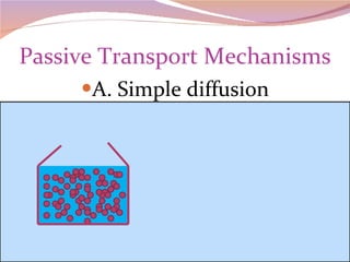 Passive Transport Mechanisms A. Simple diffusion 