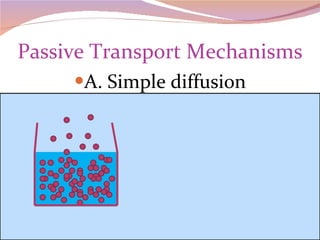 Passive Transport Mechanisms A. Simple diffusion 