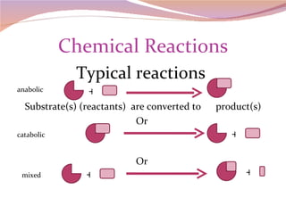 Chemical Reactions Typical reactions  Substrate(s) (reactants)  are converted to  product(s) Or  Or  + anabolic catabolic mixed + + + 