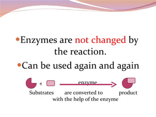 Enzymes are  not changed  by  the reaction. Can be used again and again enzyme Substrates  are converted to  product with the help of the enzyme + 