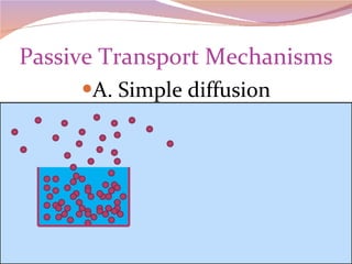 Passive Transport Mechanisms A. Simple diffusion 