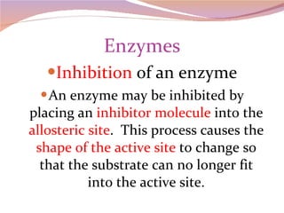 Enzymes Inhibition  of an enzyme An enzyme may be inhibited by placing an  inhibitor molecule  into the  allosteric site .  This process causes the  shape of the active site  to change so that the substrate can no longer fit into the active site. 