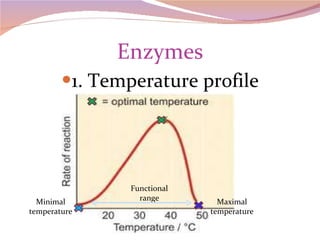 Enzymes 1. Temperature profile Minimal temperature Maximal temperature Functional range 