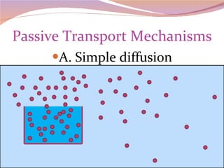 Passive Transport Mechanisms A. Simple diffusion 