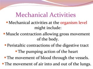 Mechanical Activities  Mechanical activities at the  organism level  might include: Muscle contraction allowing gross movement of the body. Peristaltic contractions of the digestive tract The pumping action of the heart The movement of blood through the vessels. The movement of air into and out of the lungs. 