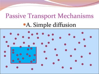 Passive Transport Mechanisms A. Simple diffusion 