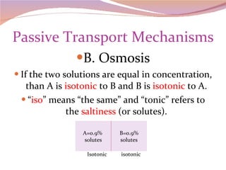 Passive Transport Mechanisms B. Osmosis If the two solutions are equal in concentration, than A is  isotonic  to B and B is  isotonic  to A. “ iso ” means “the same” and “tonic” refers to the  saltiness  (or solutes). Isotonic  isotonic A=0.9%  solutes B=0.9% solutes 