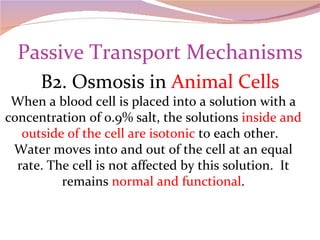 Passive Transport Mechanisms B2. Osmosis in  Animal Cells When a blood cell is placed into a solution with a concentration of 0.9% salt, the solutions  inside and outside of the cell are isotonic  to each other.  Water moves into and out of the cell at an equal rate. The cell is not affected by this solution.  It remains  normal and functional . 