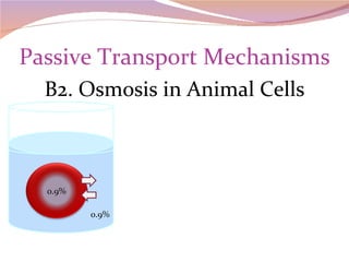 Passive Transport Mechanisms B2. Osmosis in Animal Cells 0.9% 0.9% 
