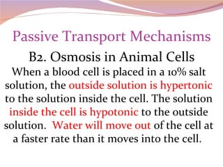 Passive Transport Mechanisms B2. Osmosis in Animal Cells When a blood cell is placed in a 10% salt solution, the  outside solution is hypertonic  to the solution inside the cell. The solution  inside the cell is hypotonic  to the outside solution.  Water will move out  of the cell at a faster rate than it moves into the cell.  